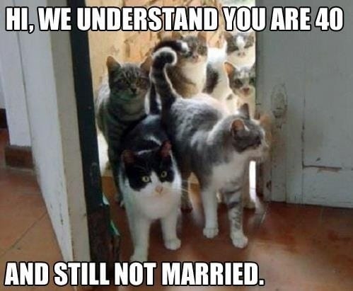 ¿40 y todavía soltera? Aquí llega tu crazy cat lady starter kit...