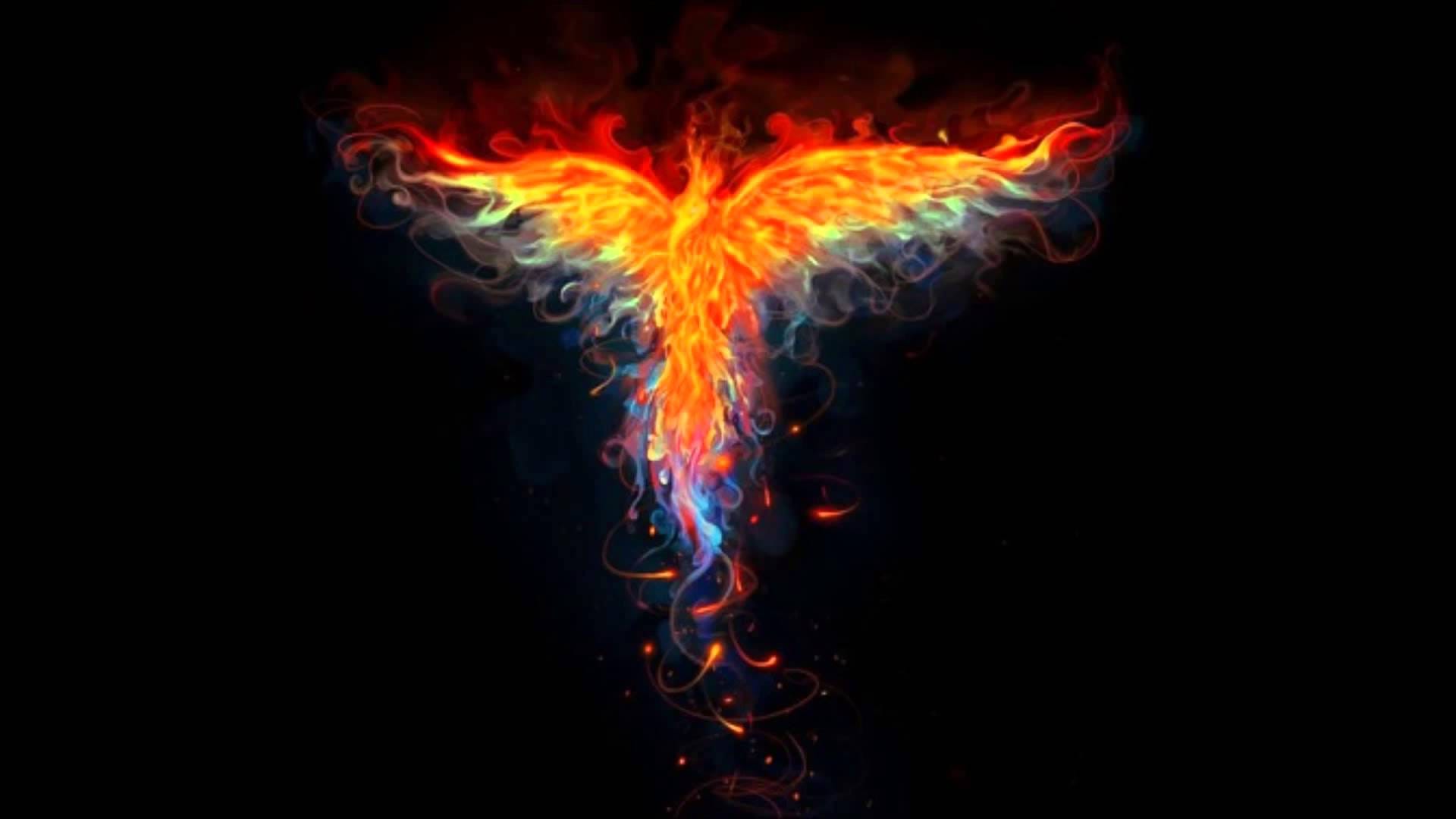 fenix